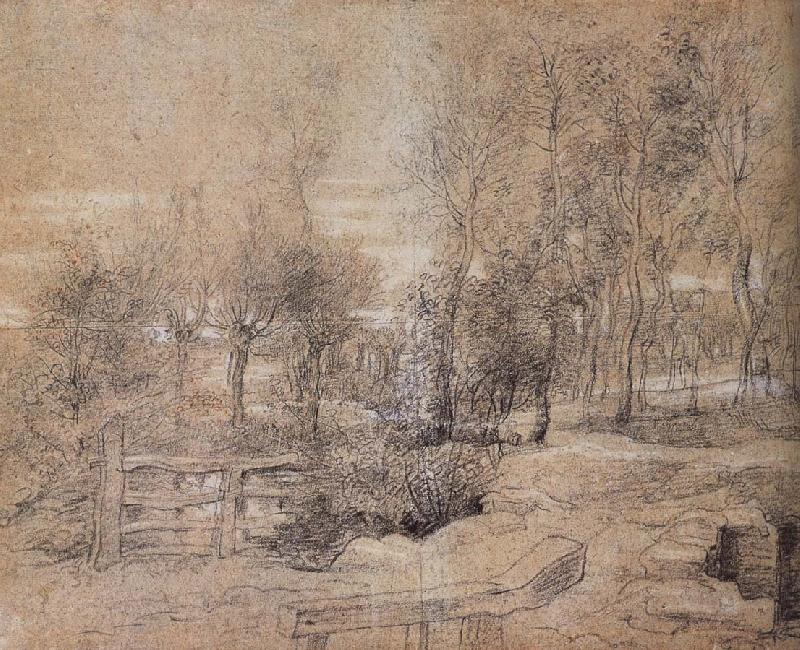 Peter Paul Rubens Forest landscape France oil painting art